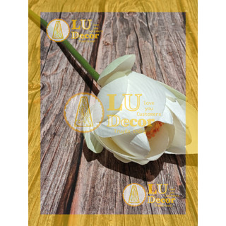 Hoa sen lụa Bách Diệp Quan Âm | LU Decor