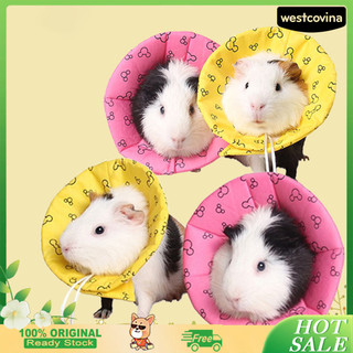 [Cod]♘Nón Bảo Vệ Chống Thấm Nước Có Thể Điều Chỉnh Polyester Hamster Phục Hồi Vết Thương Vòng Cổ Cho Thú Cưng