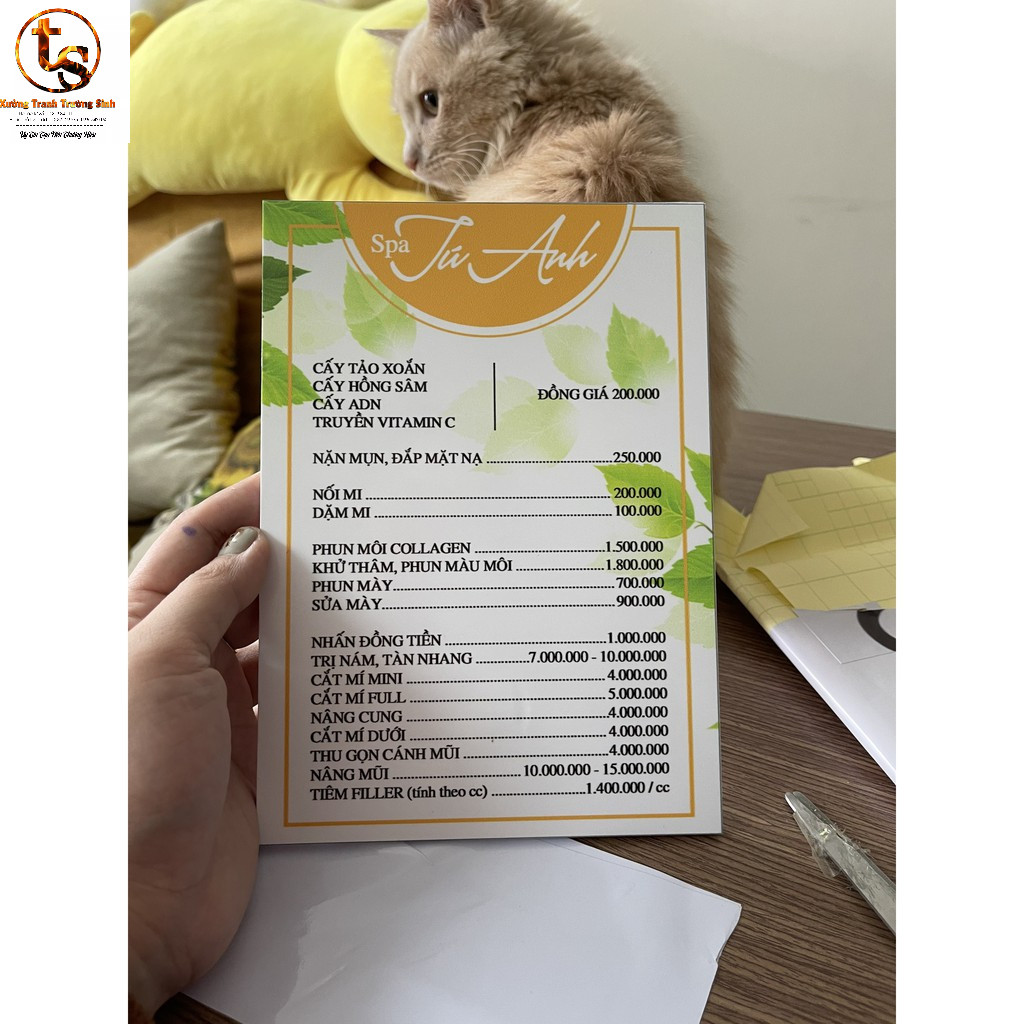 FOMEX BẢNG GIÁ DỊCH VỤ HOT ( MENU ) MIỄN PHÍ THIẾT KẾ, Bảng giá Fomex để bàn (không kèm đế gỗ)