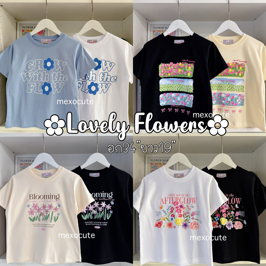 Mexocute (Ngực 36 Chiều Dài 19) LAB GIRL Baby Crop Top Long Fit