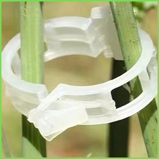 Kẹp hỗ trợ cây trồng 100 chiếc Kẹp hỗ trợ cây nho Kẹp hỗ trợ cây trồng Cà chua Trellis Kẹp cho cây nho Rau smbvn smbvn smbvn