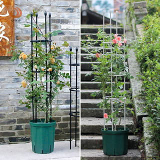 (Ygd) 1 Bộ Lồng Hỗ Trợ Thực Vật Lồng Cà Chua Cho Cây Leo Núi Cọc Vườn Lồng Cà Chua Hỗ Trợ Trellis Đồ Dùng Làm Vườn