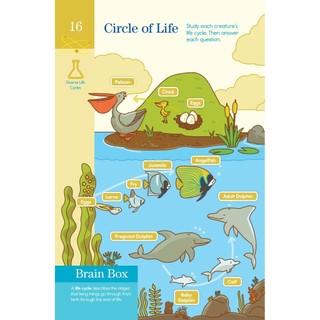 Sách Summer Brain Quest 4 - Get ready for 4th grade ( Chuẩn bị vào lớp 4 dành cho bé từ 8 - 9 tuổi )