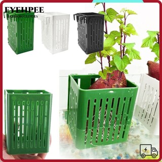 Eyehpee Giá đỡ thực vật bể cá, Chậu thủy tinh trồng bể cá Giỏ trồng thủy canh, Thủy canh có móc Cây nước Cảnh quan bể cá Cốc trồng cây cho bể cá