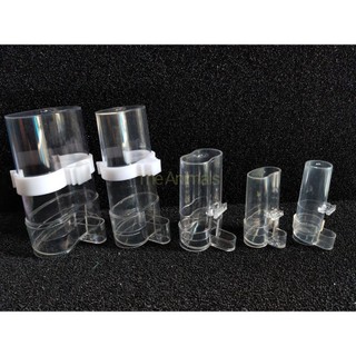 Cóng nước tự động cho chim bình nước tự động cho chim bình nước tự động cho gà rutin