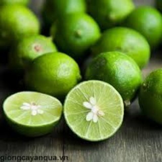 Chanh ta, Chanh xanh tươi pha nước chanh tươi - Giao Hoả Tốc 30p