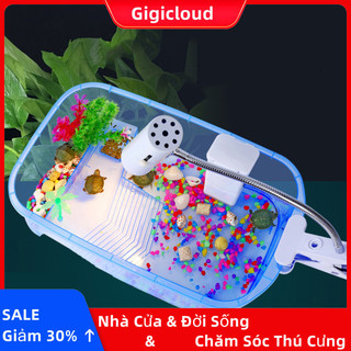 Bể rùa cao cấp gigicloud có nền tảng nền tảng 5 khu vực thiết kế bề mặt mịn hộp vận chuyển cảnh quan biệt thự