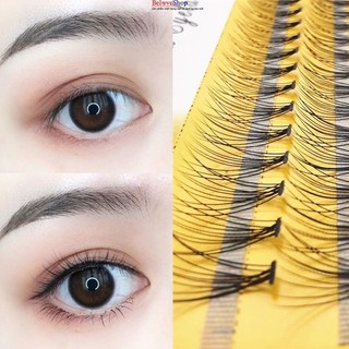 Bộ lông mi giả hộp 60 bộ lông mi giả -beloveshop