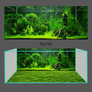 [Tặng Đồ Dán+Sticker] Tranh dán hồ cá 3D Decal mẫu  3D 176, tranh bể cá siêu đẹp - Sắc Nét