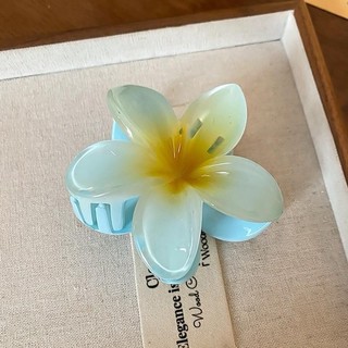 Kẹp Hoa Sứ - Kẹp Tóc Càng Cua - Nữ