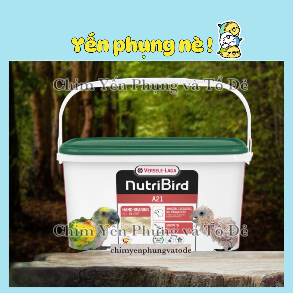 Bột NutriBird A21 thùng 3kg nguyên seal.