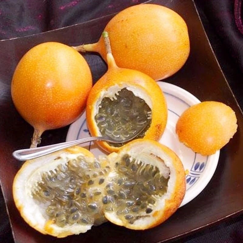 Hạt giống Chanh Leo Vàng Colombia Nhập Khẩu h2t farm