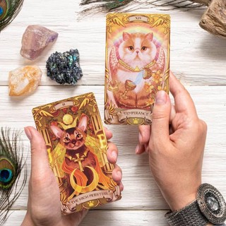 78 Thẻ Bói Toán Số Phận Chín Đời Mèo Tarot Tiệc Gia Đình Thẻ Giải Trí Trò Chơi Board Game chunvn