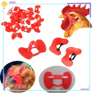 20 mắt kính cho gà