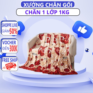 CHĂN LÔNG TUYẾT NHUNG 1m6 x 2m CHĂN NHUNG 1 LỚP DÀY DẶN - CHĂN CHIẾU TG
