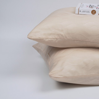 COMBO Ruột gối nằm REE Bedding Khách sạn lông vũ Microfiber + Vỏ gối nằm Dệt Kim Tencel 60s R278