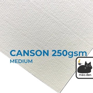 Giấy Vẽ Màu Nước Canson 220gsm 250gsm Truyền Thống (Vân Ngang, Dày) - Họa Cụ Hakuart