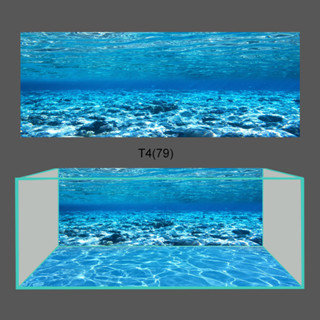 [Tặng Đồ Dán+Sticker] Tranh dán hồ cá 3D Decal mẫu  3D 79 , tranh bể cá siêu đẹp - Sắc Nét
