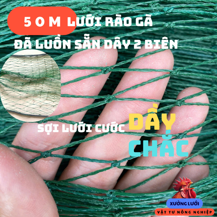 50M Lưới rào gà lưới rào vườn đã luồn sẵn dây 2 biên hàng xưởng dệt sợi lưới dầy chắc