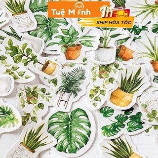 Hộp 45 Sticker hình dán Lá cây xanh trang trí Bullet journal, lịch, album dễ thương STI01