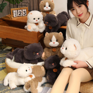 ✨Hàng có sẵn✨Kawaii Mèo Sang Trọng Đồ Chơi Thú Nhồi Bông Mềm Búp Bê Hoạt Hình Dễ Thương Mèo Sang Trọng Gối Cho Bé Đồ Chơi Văn Phòng Trang Trí Nhà Cửa Bạn Gái Trẻ Em Quà Tặng Sinh Nhật