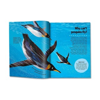 Britannica First Big Book Of Why
