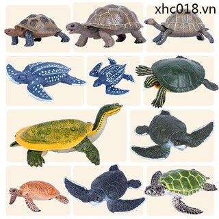 Mô phỏng động vật biển rùa mô hình brazil rùa phòng khách đồ chơi rùa da rùa rùa biển rùa trẻ em khoa học giáo dục quà tặng