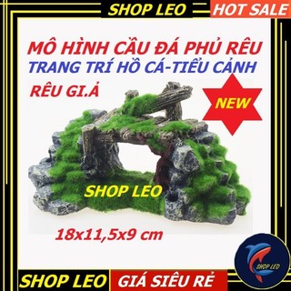 CẦU ĐÁ PHỦ RÊU - TRANG TRÍ THỦY SINH- HANG CÁ THỦY SINH