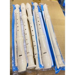 N08 SÁO NHỰA Recorder cao cấp Dễ thổi dễ chơi cho học sinh tập thổi sáo 8 lỗ ngọc thịnh