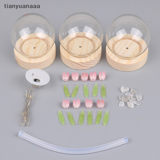 Tianyuanaaa Tulip Đèn Ngủ Tự Làm Chất Liệu Gói Sáng Tạo Đèn Ngủ Đồ Trang Trí Quà Tặng Tốt