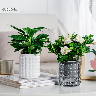 Guouqna Mini Tự Tưới Hoa Nồi Cá Nhựa Trong Suốt Chậu Cây Tự Tưới Cây Chậu Bình Để Trang Trí Nhà Cửa BASL