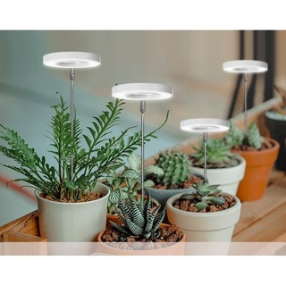 ☘️đèn quang hợp dành cho trồng cây xanh trong nhà trồng sen đá 6w