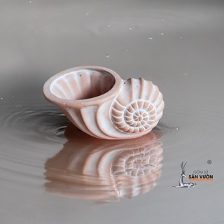 Chậu Gốm Đất Nung Hình Vỏ Ốc Xoắn - Gốm Sứ Sân Vườn - GSSV