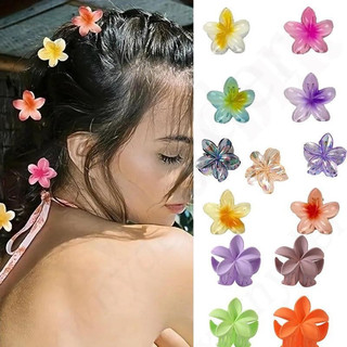 Kẹp tóc hoa sứ Hàn Quốc mùa xuân và mùa hè Bộ bắt hoa phù hợp