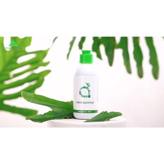 GREEN QUANTUM - Nước diệp lục bù nước nhanh