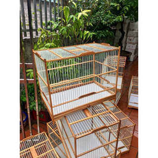 Khung tập lực chim chào mào, chòe tự ráp chất liệu gỗ sến nan cáp quang lồng lực chào mào đã ráp sẵn 6 mặt