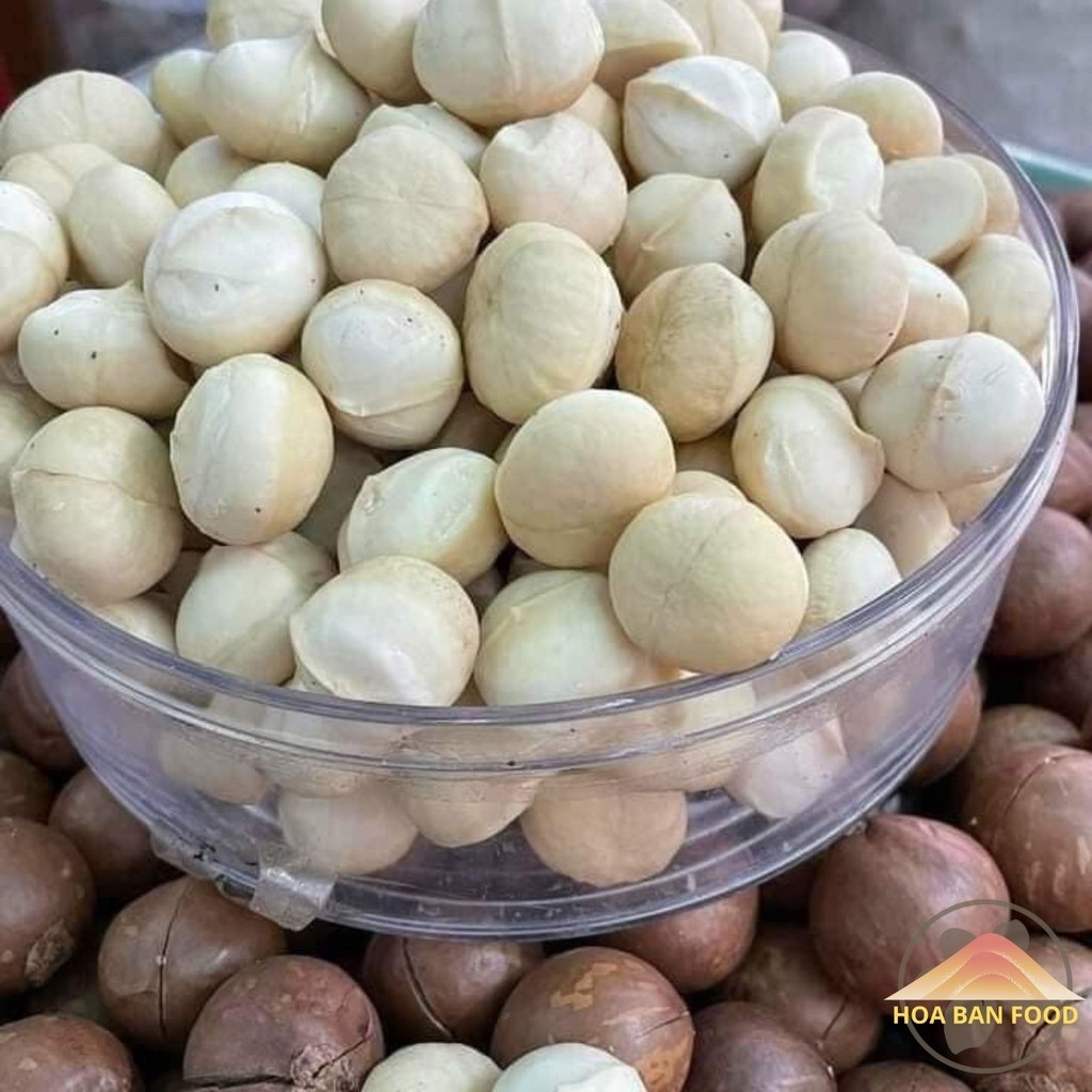 Nhân macca Lai Châu nguyên hạt, trồng hữu cơ sấy chín từ macca tươi. Mắc ca, mac ca sấy khô chín khô
