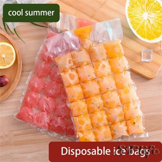 10 Chiếc Dùng Một Lần Làm Đá Túi Làm Lạnh Máy Làm Đá Viên Túi Tự Làm Đá Cho Mùa Hè DIY Uống Đá Khay Khuôn