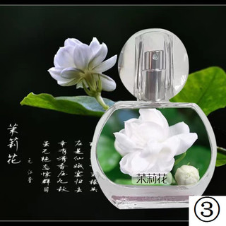 Nước hoa nhài sáng sớm hoa nhài hương thơm hoa tươi hương thơm lâu dài nhẹ nữ hương thơm nữ hương thơm thực vật nguyên chất hương thơm