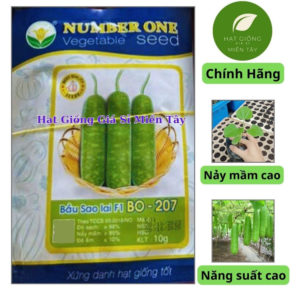 Hạt Giống Bầu Lai F1 BO-207 NUMBER ONE (GÓI 10G)-Trái đồng đều chất lượng, dễ đậu trái, thịt ngọt, t