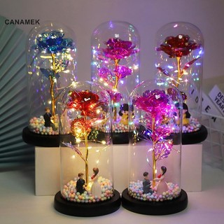  Canamek Cuộc Sống Vĩnh Cửu Hoa Nắp Thủy Tinh Hoa Hồng Quà Tặng Ngày Lễ Tình Nhân Đèn Led Đồ Trang Trí Giáng Sinh CSF 