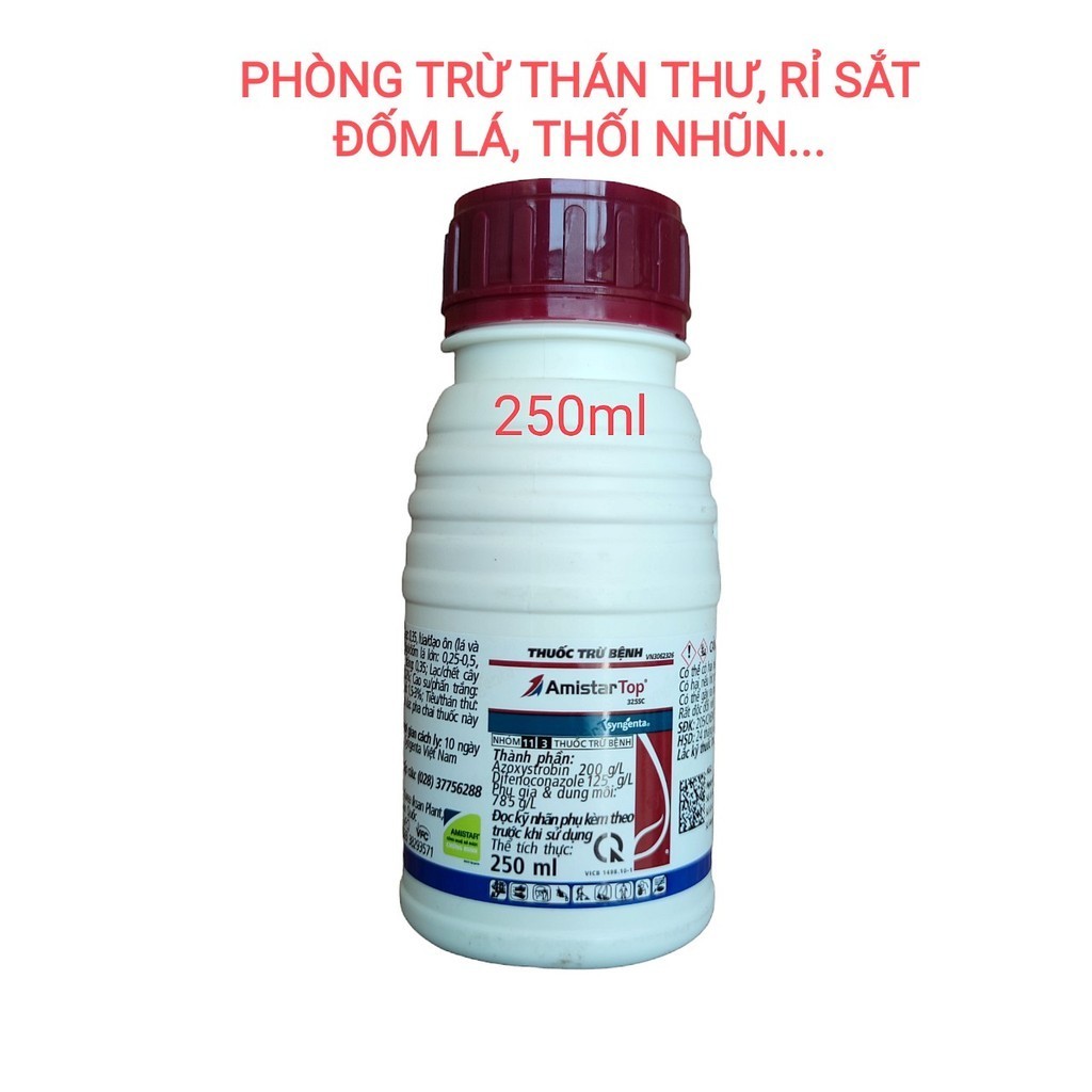 Phòng trừ nấm bệnh Amistar Top 325SC từ Hàn Quốc, phù hợp cho Lan