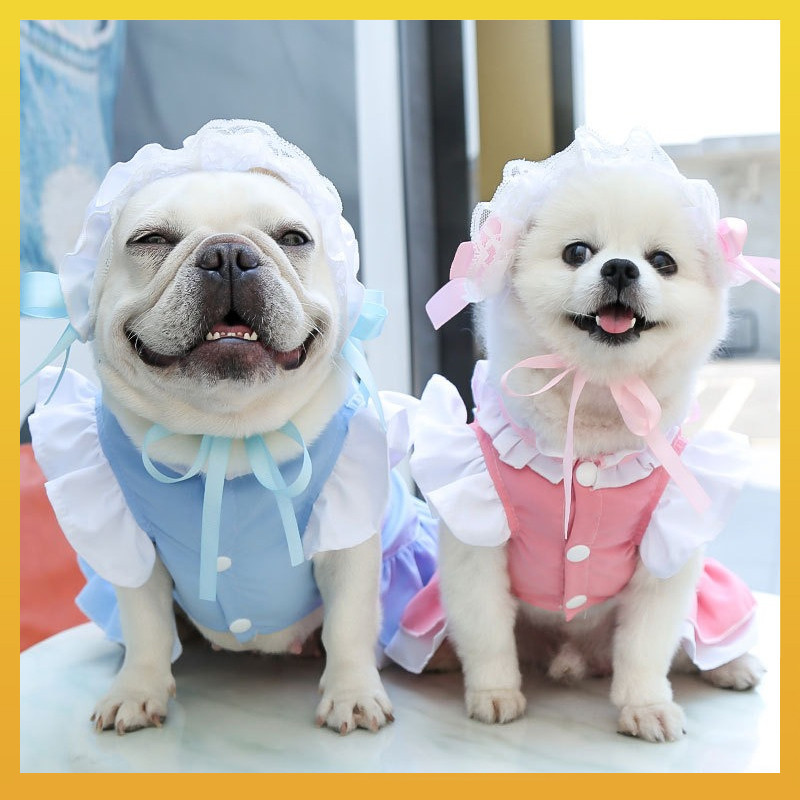 [Daliya] Quần áo mèo cho chó cưng Trang phục hóa trang cho bữa tiệc sinh nhật Halloween Tiệc cưới