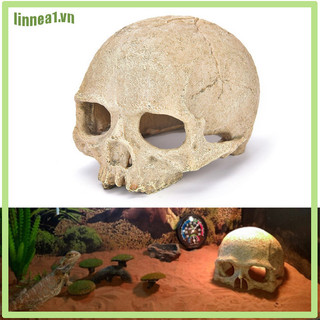 Lin Human Skull Model Fishtank Bể Cá Cảnh Quan Phụ Kiện Cho Bọ Cạp Nhện Thằn Lằn Rắn