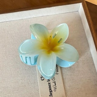 Kẹp Hoa Sứ - Kẹp Tóc Càng Cua - Nữ