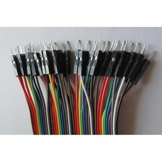 40 Dây Test Board Đực - Cái 20cm (có bán lẻ)