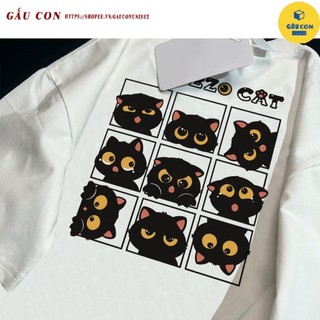 HOT Áo thun trắng họa tiết mèo Áo thun nữ cổ tròn mới đa năng 100% cotton