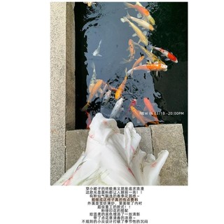 Váy Rơi Vào Biển Hoa