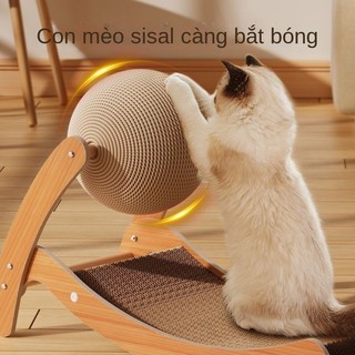 Đồ chơi mèo