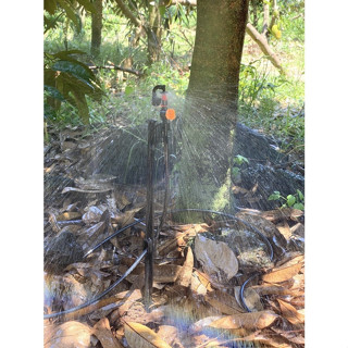 Béc tưới cây G5 cải tiến kèm van khoá 6mm, béc tưới phun mưa cho cà phê, các loại cây lâu năm, xoay 360 độ - Phú Cường